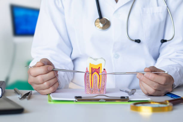 Best Dental Abscess Treatment in Glenville, CT